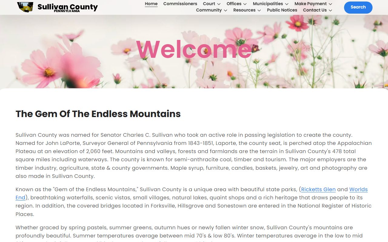 Sullivan County family court records government portal